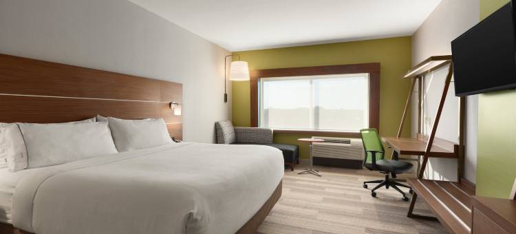 智选假日套房酒店爱丁堡 - 麦卡伦区(Holiday Inn Express & Suites EDINBURG-MCALLEN AREA by IHG)图片