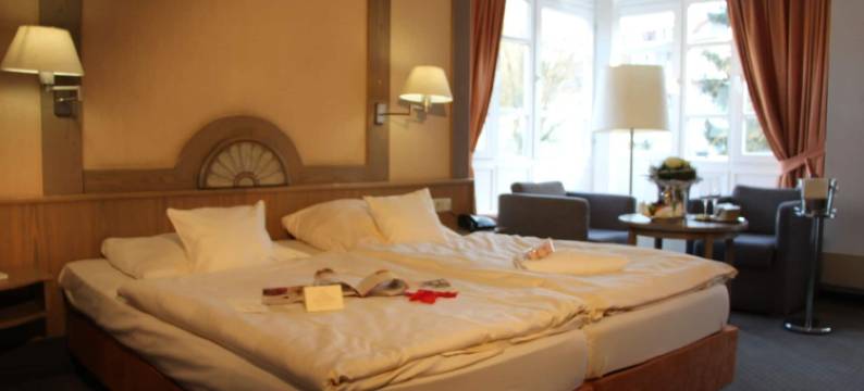 罗曼提斯切斯曼扎萨酒店(Romantisches Hotel Menzhausen)图片