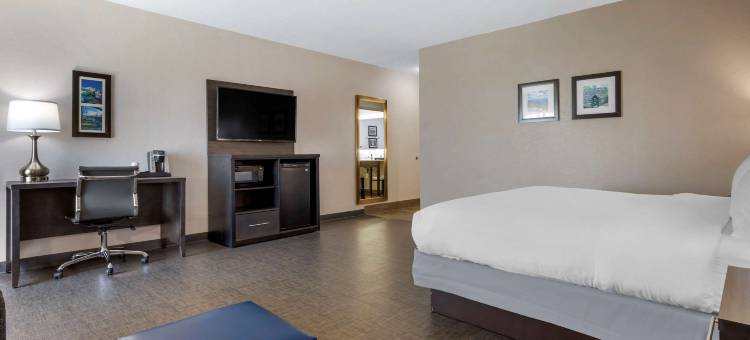 格里尔-格林维尔机场舒适套房酒店(Comfort Inn & Suites Greer - Greenville)图片