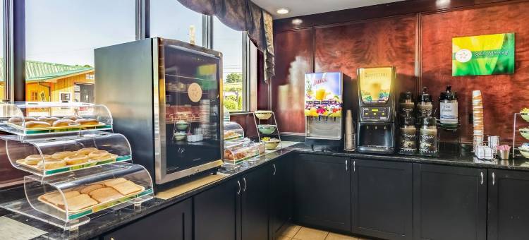 阿宾登岛凯艺套房酒店(Quality Inn & Suites)图片