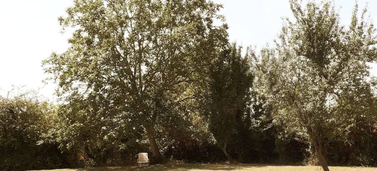 高维涅尔民宿(La Gauviniere)图片