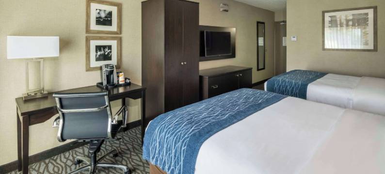 舒适酒店-蒙特娄机场(Comfort Inn Montreal Aeroport)图片