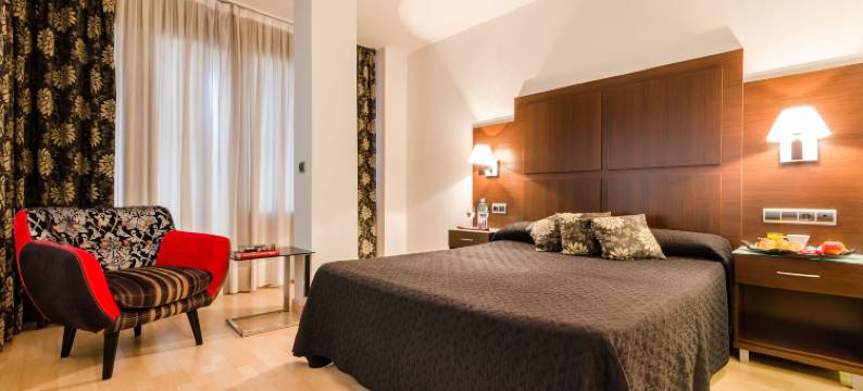 格拉纳达YIT孔奎斯塔酒店(Yit Conquista de Granada)图片