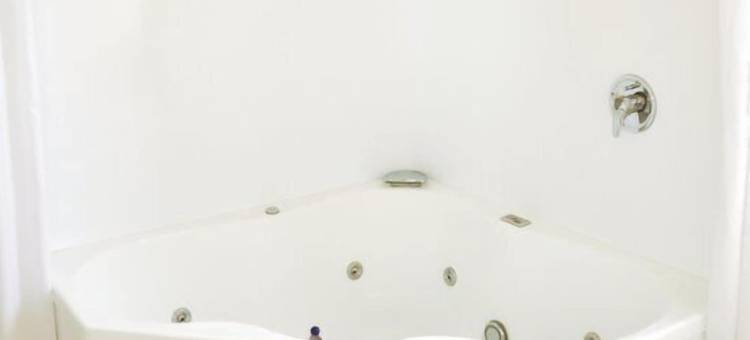 BK罗托鲁瓦汽车旅馆(BK's Rotorua Motor Lodge)图片