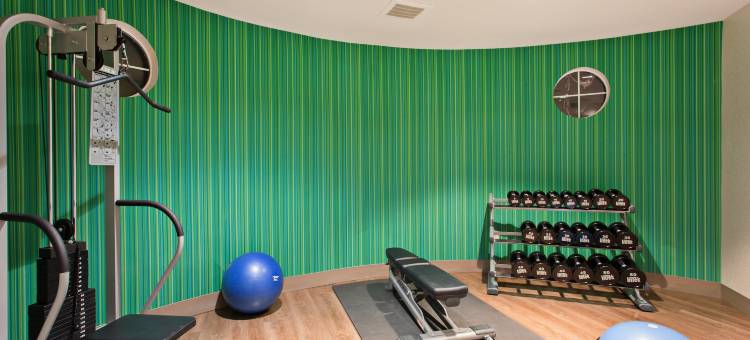 智选假日酒店及套房科罗娜(Holiday Inn Express & Suites Corona)图片