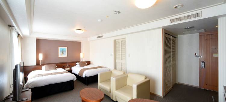 Alpico广场酒店(Alpico Plaza Hotel)图片