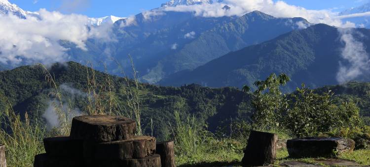 喜马拉雅德拉利度假村(Himalayan Deurali Resort)图片