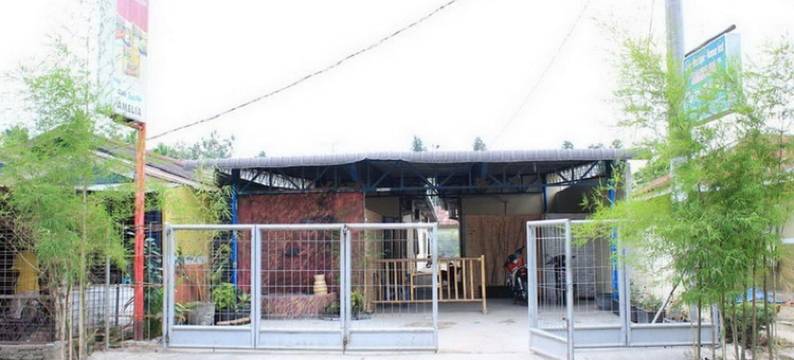 阿梅莉亚旅馆(Amelia Guest House)图片