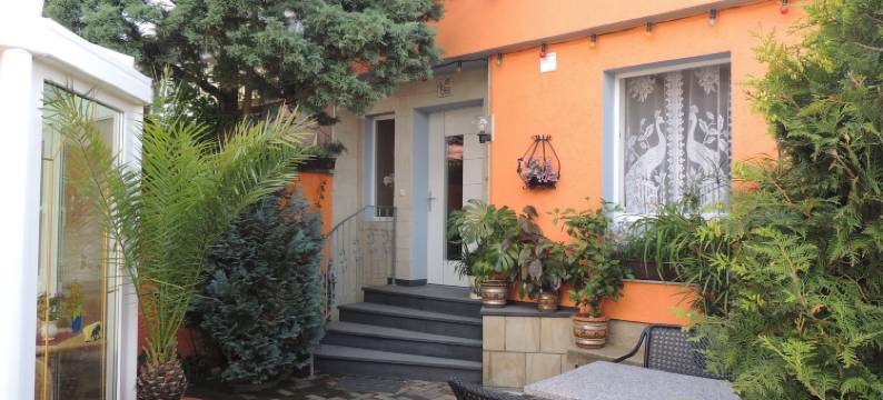 佩希恩 19 酒店(Pension 19)图片