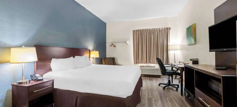 奥兰多郊区公寓酒店-奥科伊-冬季花园(Suburban Studios Orlando - Ocoee-Winter Garden)图片