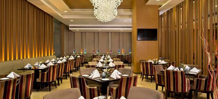 齐普尔丽笙酒店(Radisson Blu Jaipur)图片