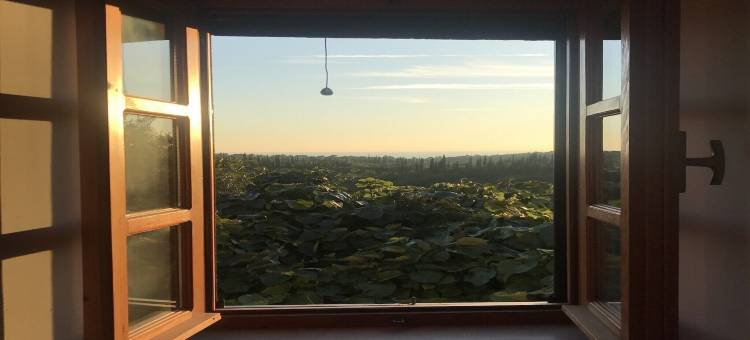 巴基切沃乡村别墅(Country House Bakicevo)图片