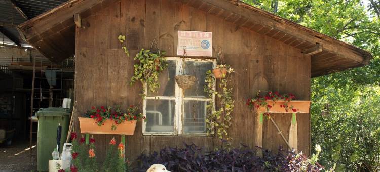 贝特诺费许怀思酒店(Beit Nofesh Waiss)图片