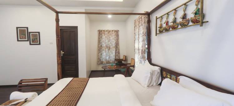 塔多巴虎爪(The Tiger Claws Tadoba)图片