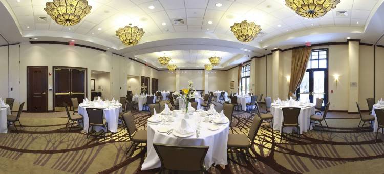 萨凡纳机场希尔顿安泊酒店(Embassy Suites by Hilton Savannah Airport)图片