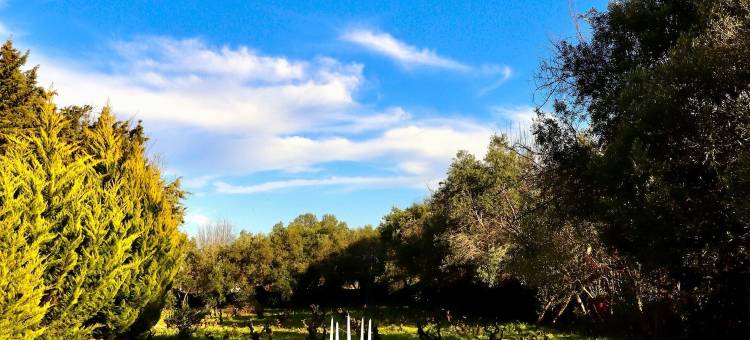 Kemerbag 29 - 限成人(Kemerbag 29 Guest House 12 Yaş Üstü)图片