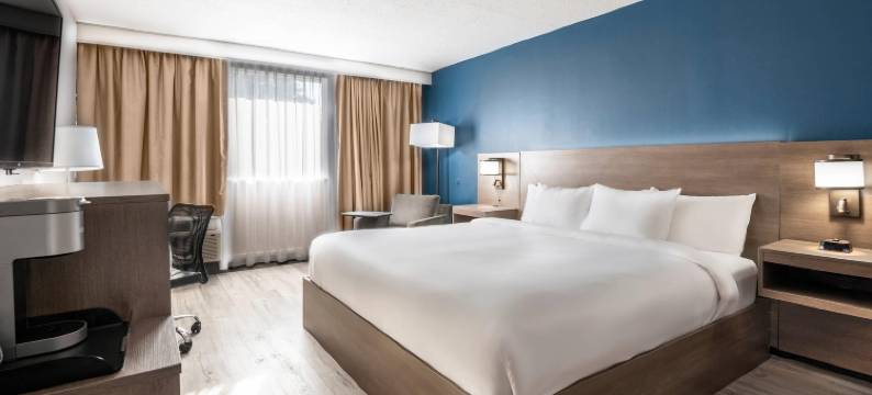 金斯顿中心舒适套房酒店(Comfort Suites Kingston Central)图片