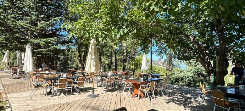 Nirvana酒店(Nirvana Hotel)图片