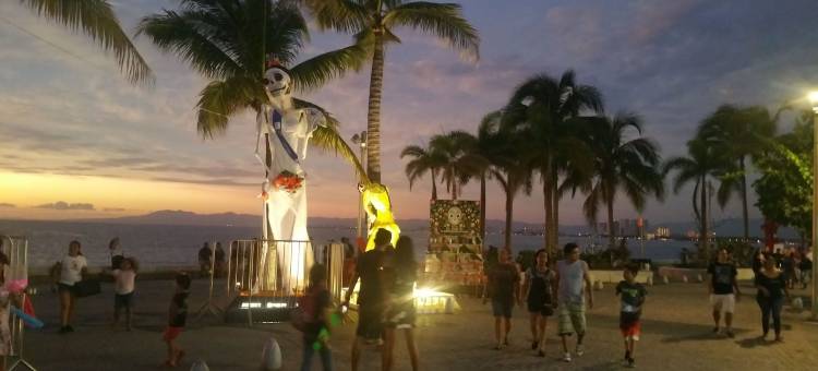 享受巴亚以塔港19 号青年旅舍(Hostel Enjoy Vallarta 19)图片