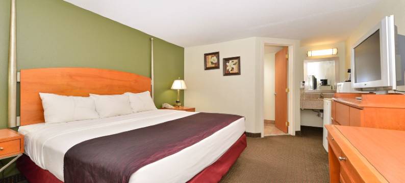 查尔斯顿鹰汽车旅馆(Charleston Eagle Inn)图片