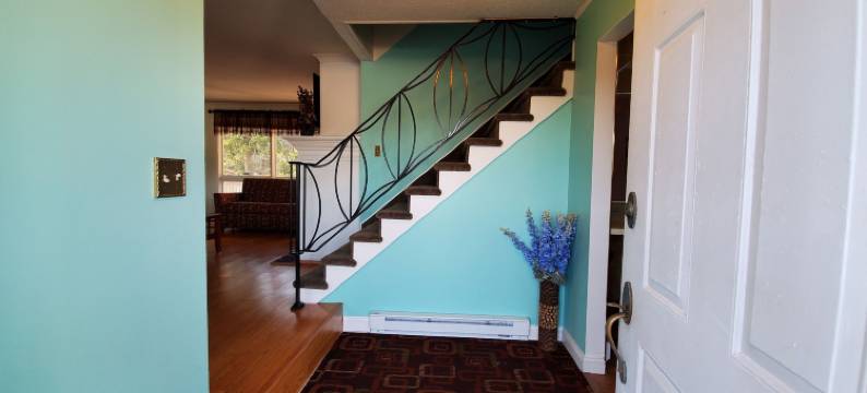 松树溪汽车旅馆(Pinebrook Motel)图片