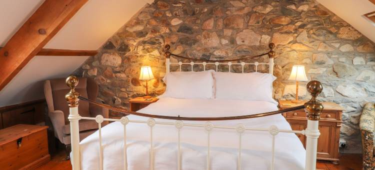 卡诺法(Carnorfa)图片