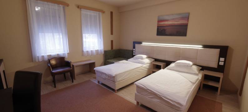 精品瓦达斯库特酒店(Hotel Vadászkürt Superior)图片