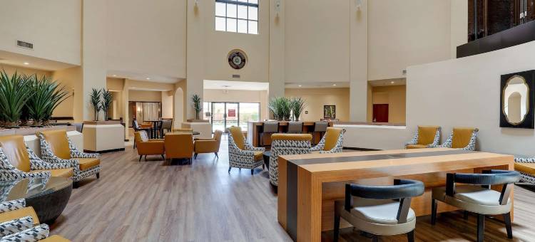凤凰城机场德鲁里套房酒店(Drury Inn & Suites Phoenix Airport)图片