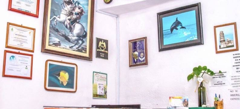 昆塔帕拉伊索可可约克酒店(Hotel Quinta Paraiso)图片