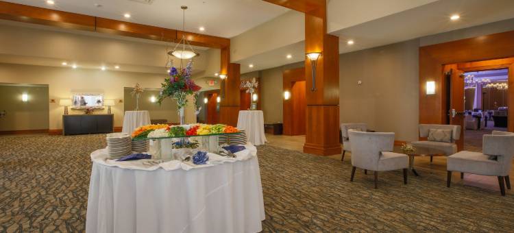 罗彻斯特希尔顿逸林酒店(DoubleTree by Hilton Hotel Rochester)图片