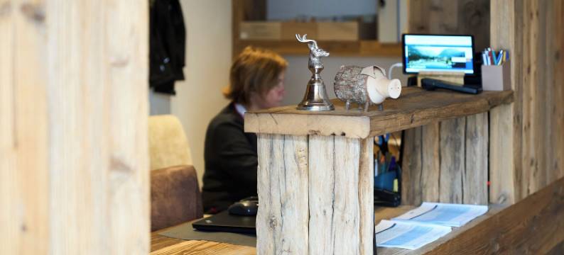 高山巢穴酒店(Hotel Alpennest)图片