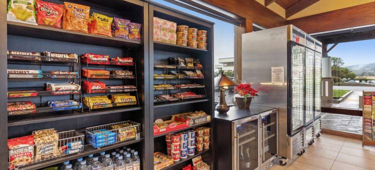 旧金山机场海湾瓦加邦德行政酒店(Vagabond Inn Executive SFO)图片