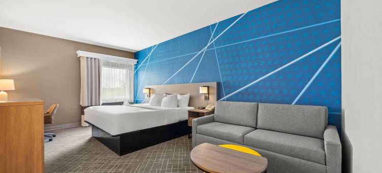 柳泉舒适酒店 US 60 和 US 63(Comfort Inn US 60-63)图片