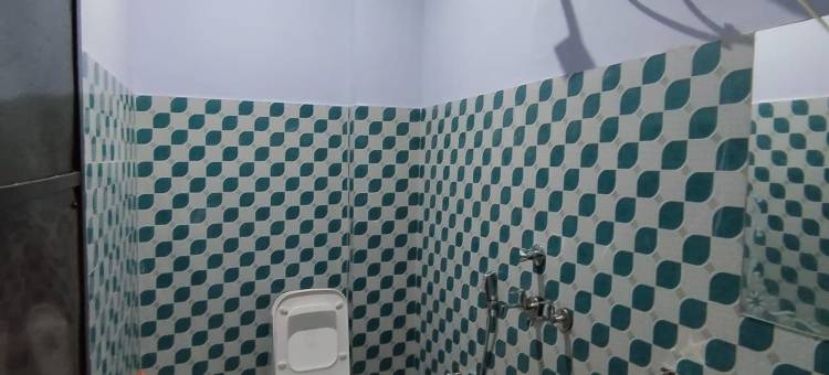 维拉萨特度假屋(Virasat Holiday Home)图片