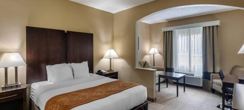 舒适套房酒店-克洛尼普莱诺西(Comfort Suites the Colony - Plano West)图片