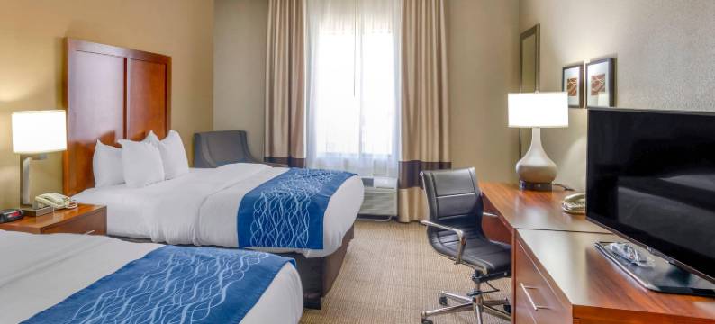 林奇堡机场-大学区舒适套房酒店(Comfort Inn & Suites Lynchburg Airport - University Area)图片