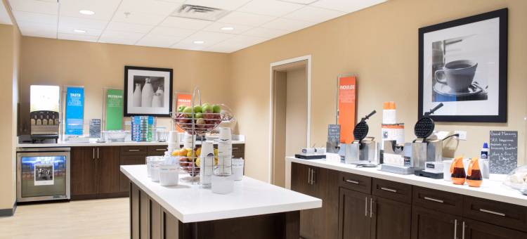 大瀑布城欢朋酒店(Hampton Inn Big Rapids)图片