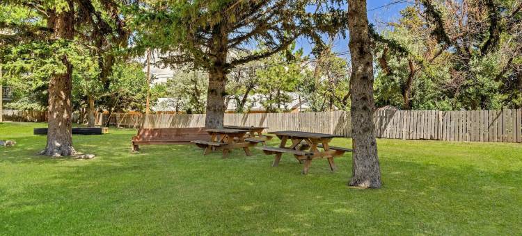 黄石公园旅馆和套房(Comfort Inn & Suites)图片