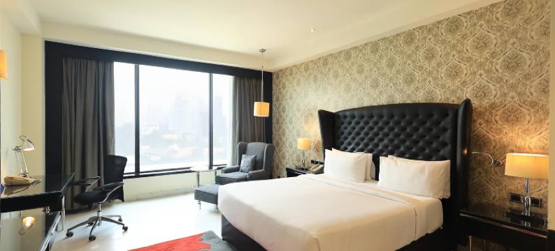 新德里帕池豪尔丽笙酒店(Radisson Hotel New Delhi Paschim Vihar)图片