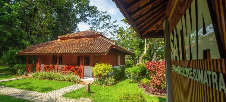 沙瓦大象生态小屋(The Satwa Elephant Ecolodge)图片