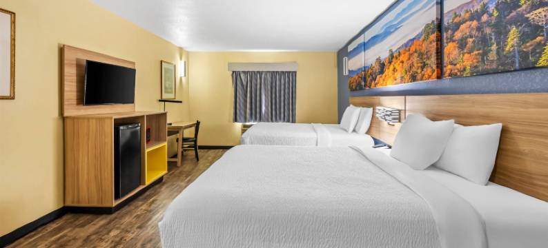 新奥尔良庞恰特雷恩戴斯酒店(Days Inn by Wyndham New Orleans Pontchartrain)图片