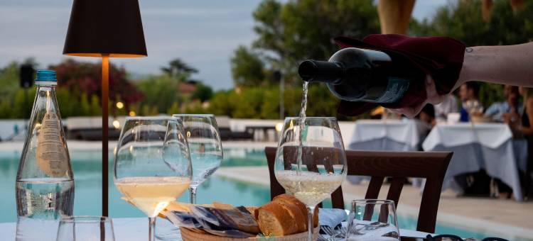 勒米莫瑟酒店(Hotel le Mimose)图片