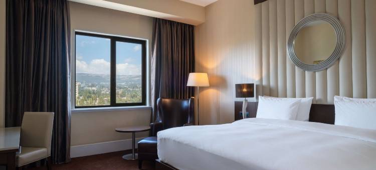 亚的斯亚贝巴丽笙酒店(Radisson Blu Hotel, Addis Ababa)图片