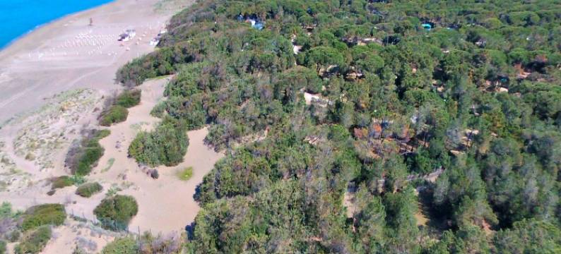 Pisa Stay close to Leaning Tower图片