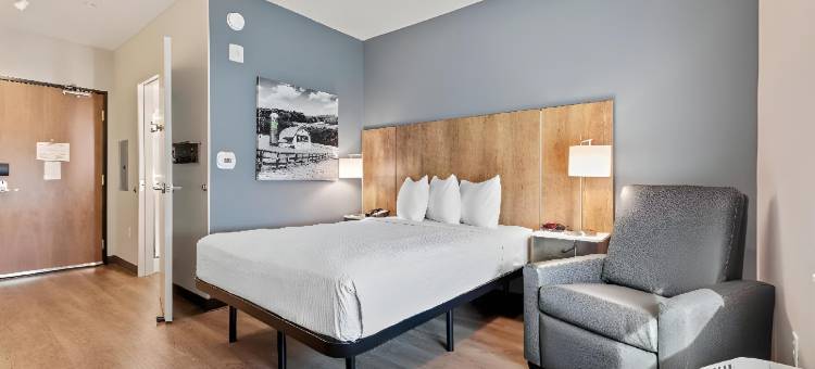 美国长住酒店-代托纳海滩-奥蒙德海滩(Extended Stay America Premier Suites - Daytona Beach - Ormond Beach)图片