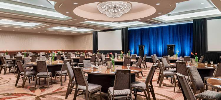 卡尔加里克莱里喜来登套房酒店(Sheraton Suites Calgary Eau Claire)图片