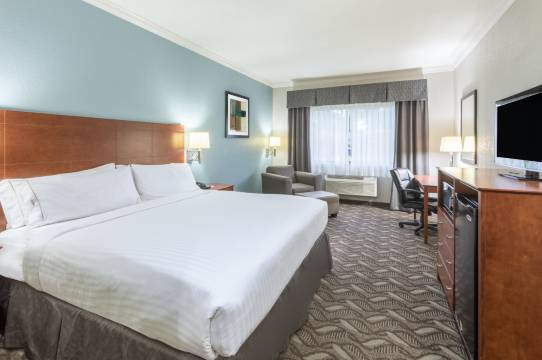 智选假日套房酒店查尔斯湖(Holiday Inn Express & Suites LAKE CHARLES by IHG)