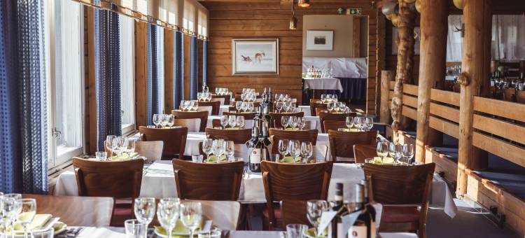 帕拉斯拉普兰酒店(Lapland Hotels Pallas)图片