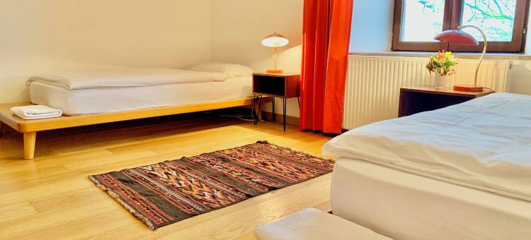 马卡拉(Macara)图片