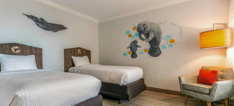 清水湾海豚沙滩Ascend精选酒店(Dolphin Sands Clearwater Beach, Ascend Hotel Collection)图片